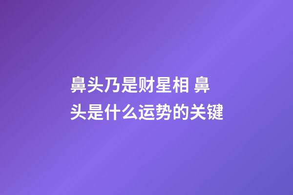 鼻头乃是财星相 鼻头是什么运势的关键